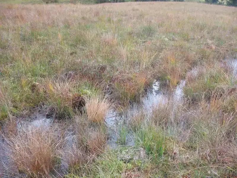 Regionale Fotografie